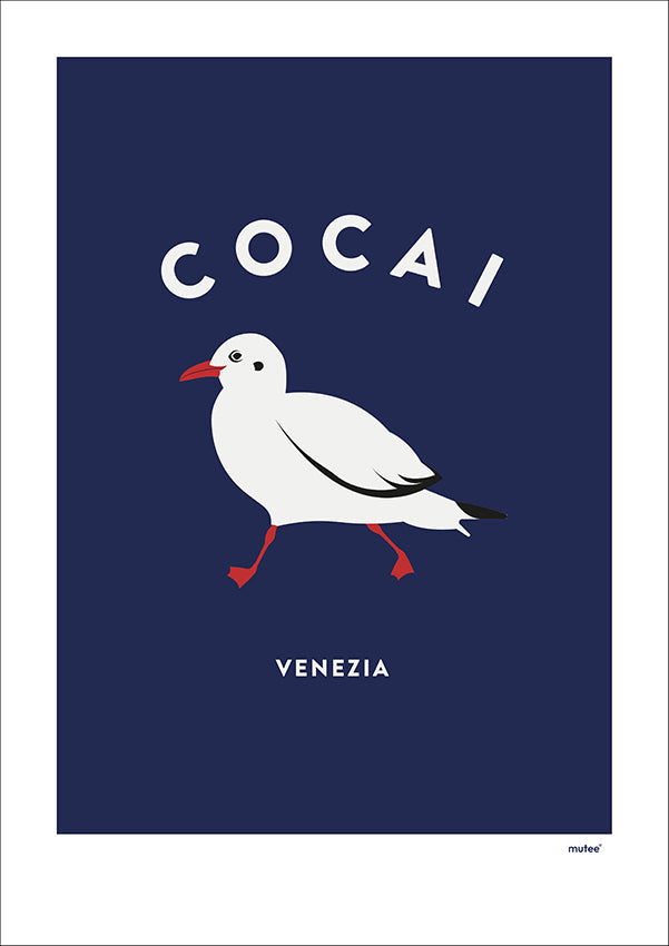 Cocai - Venezia