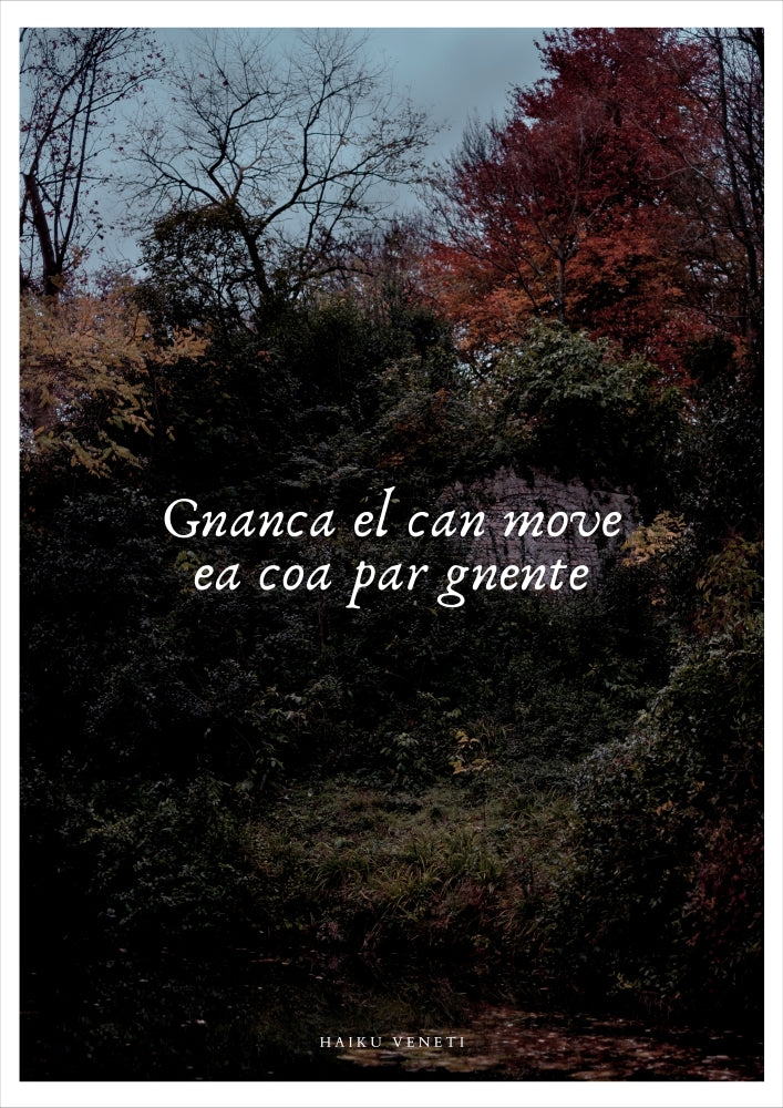 Gnanca the dog