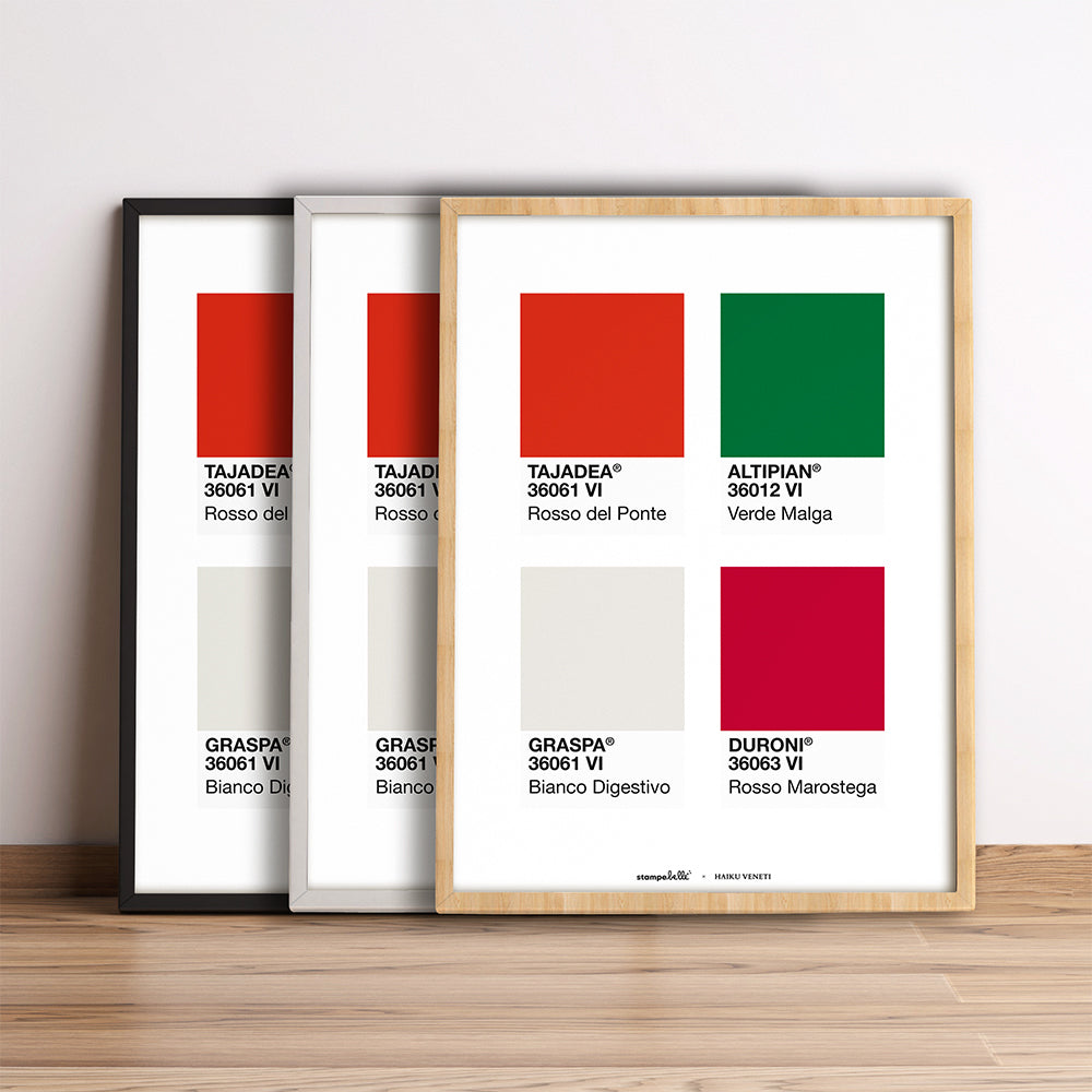 Vicenza a colori