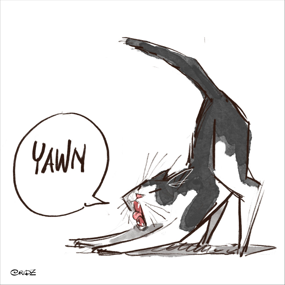 Yawn