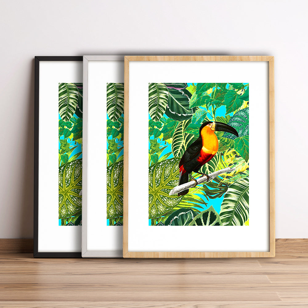Tropicalia 3