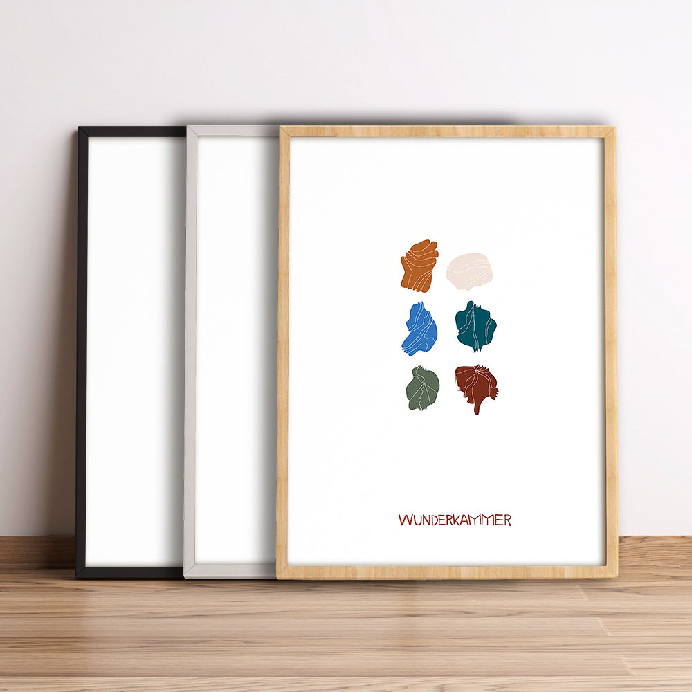 Wunderkammer 6 (conchiglie)