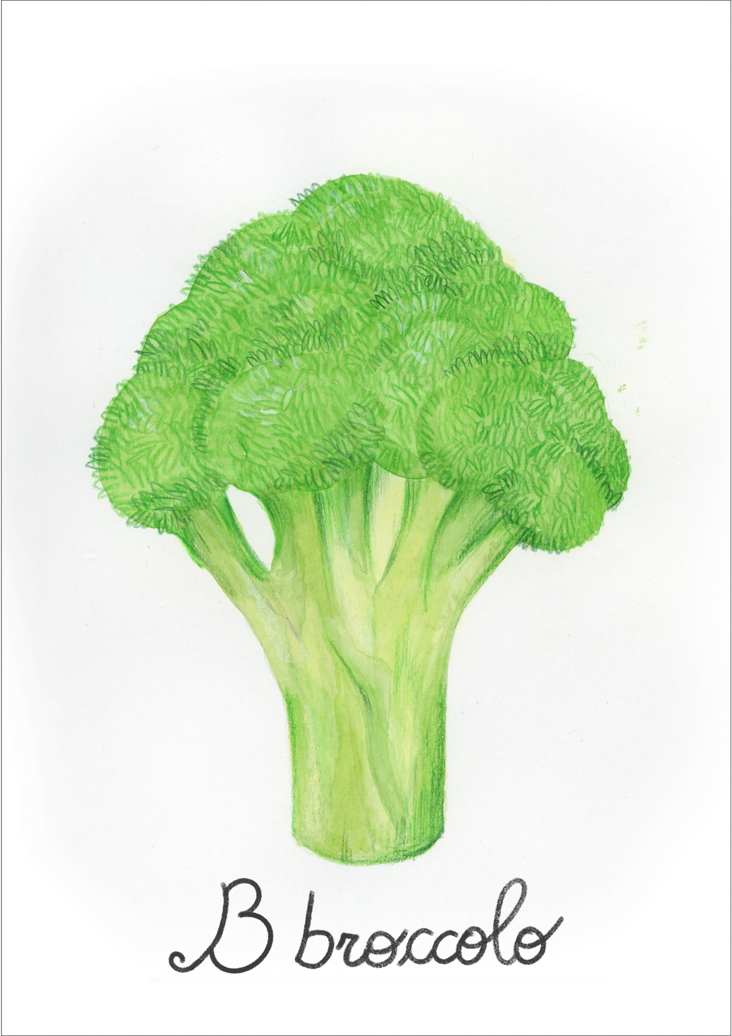 B come Broccolo - Alfabeto Vegetale