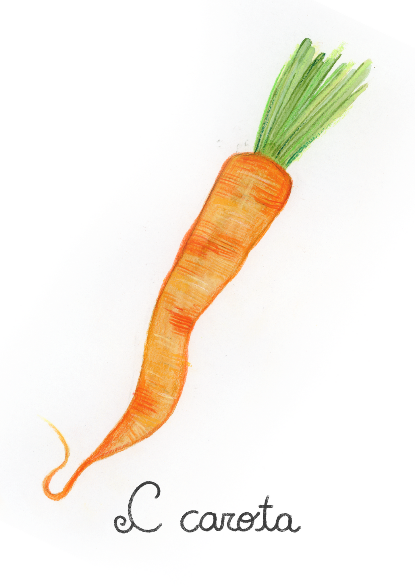 C come Carota - Alfabeto Vegetale