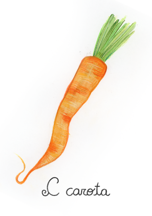 C come Carota - Alfabeto Vegetale