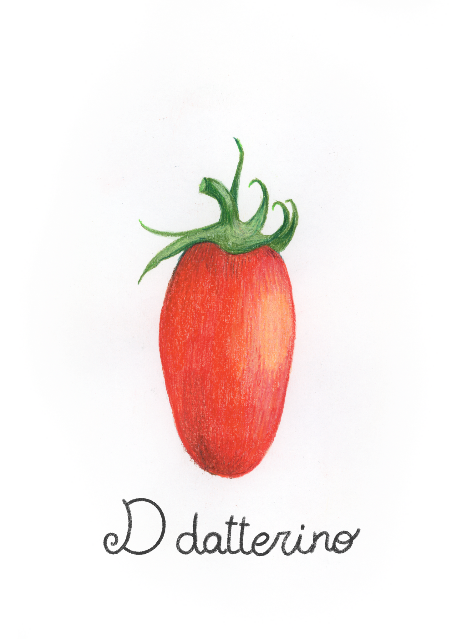 D come Datterino - Alfabeto Vegetale
