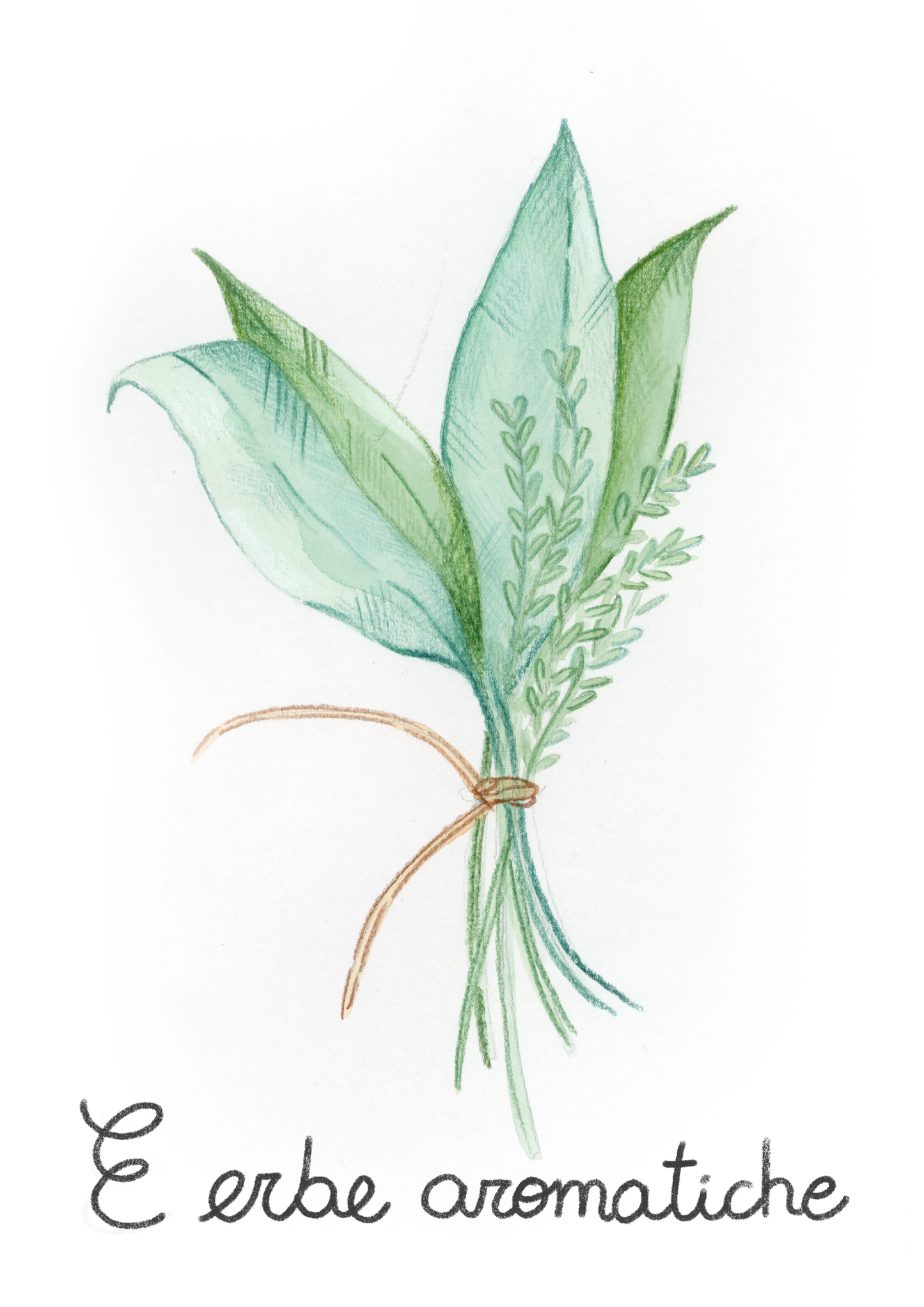 E come Erbe Aromatiche - Alfabeto Vegetale