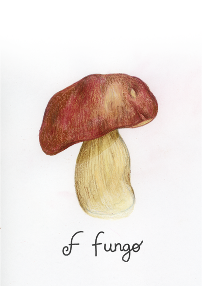 F come Fungo - Alfabeto Vegetale