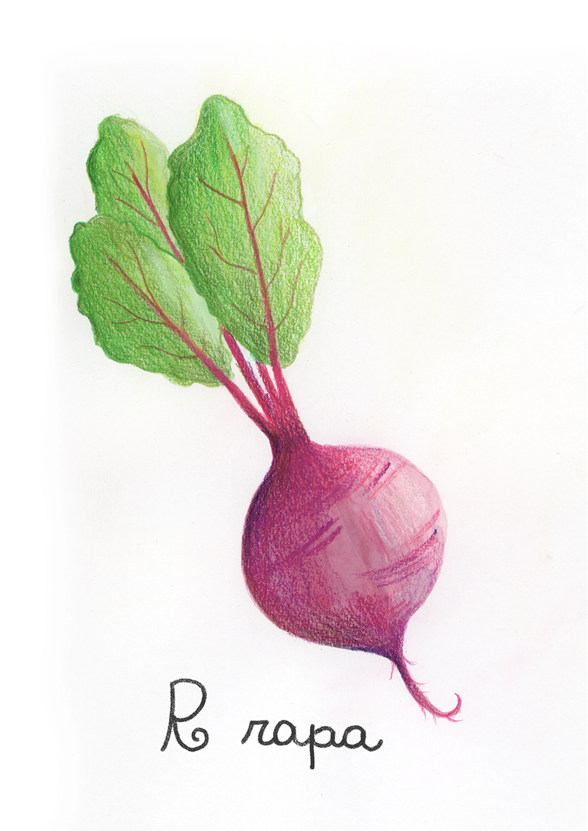 R come Rapa - Alfabeto Vegetale