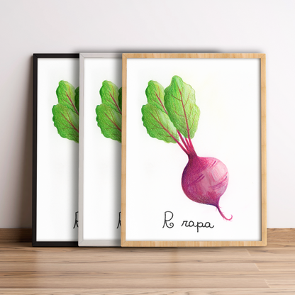 R come Rapa - Alfabeto Vegetale