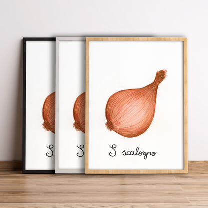 S come Scalogno - Alfabeto Vegetale