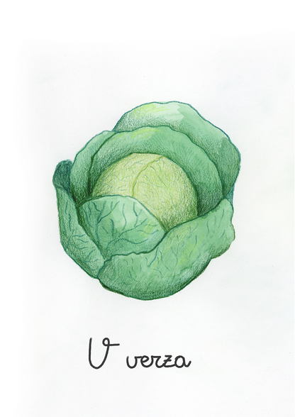 V come Verza - Alfabeto Vegetale
