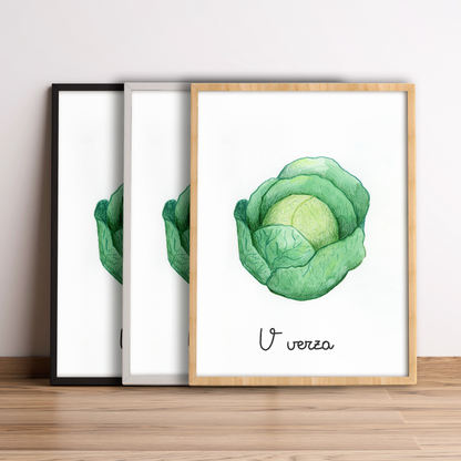 V come Verza - Alfabeto Vegetale