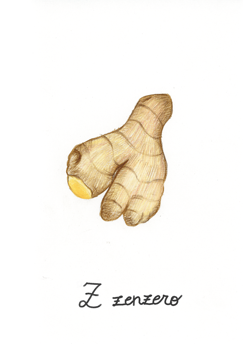 Z come Zenzero - Alfabeto Vegetale