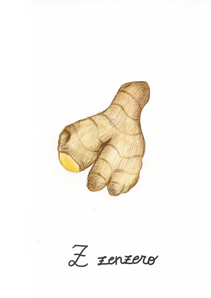 Z come Zenzero - Alfabeto Vegetale