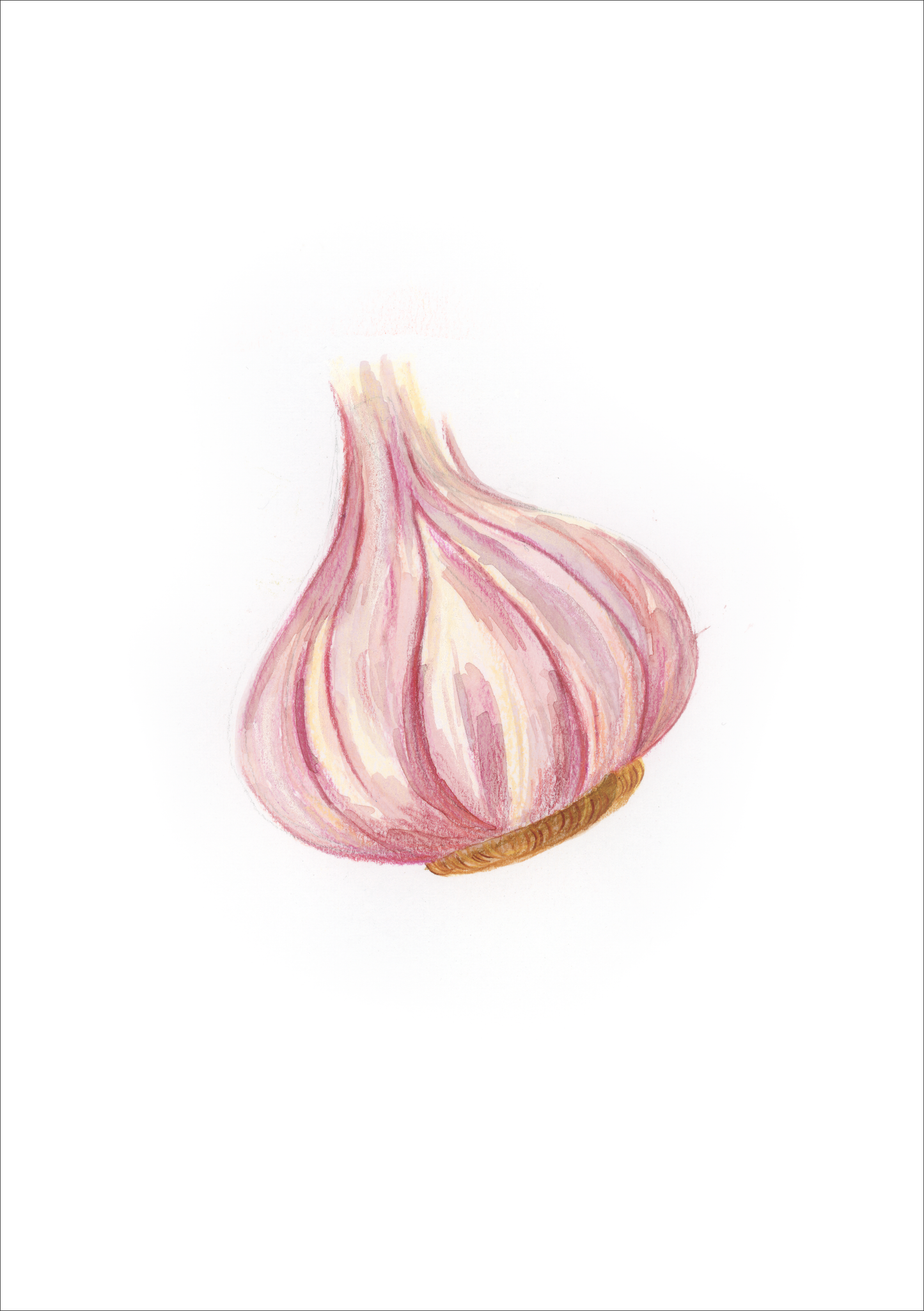 A come Aglio - Alfabeto Vegetale