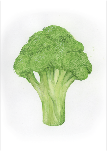 B come Broccolo - Alfabeto Vegetale