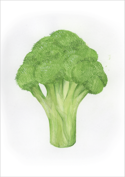 B come Broccolo - Alfabeto Vegetale