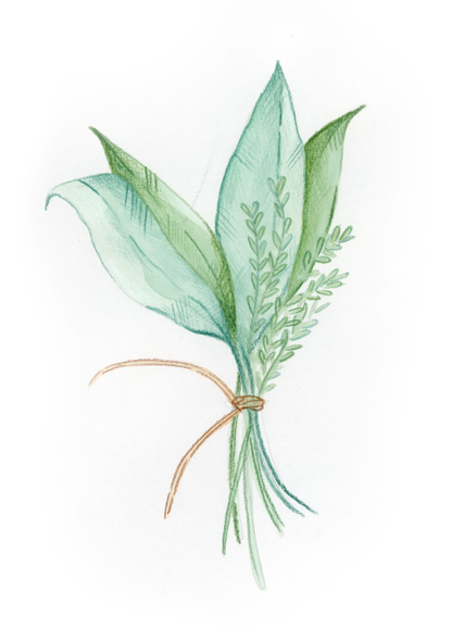 E come Erbe Aromatiche - Alfabeto Vegetale