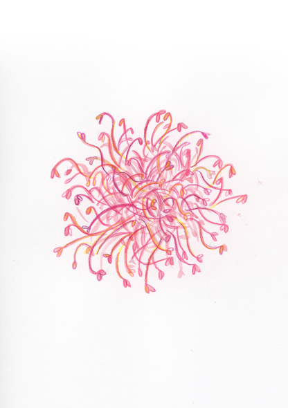 G come Germogli - Alfabeto Vegetale