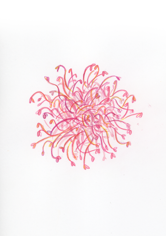 G come Germogli - Alfabeto Vegetale