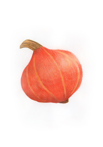 H come Hokkaido - Alfabeto Vegetale