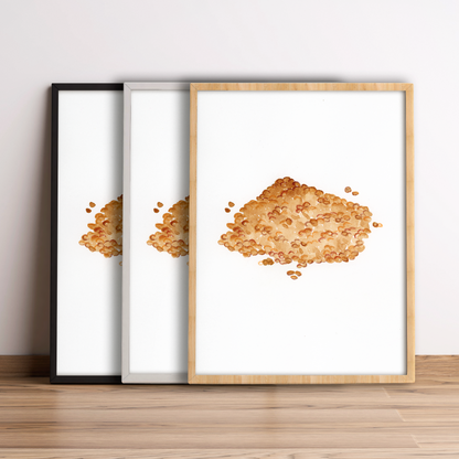 L come Lenticchie - Alfabeto Vegetale