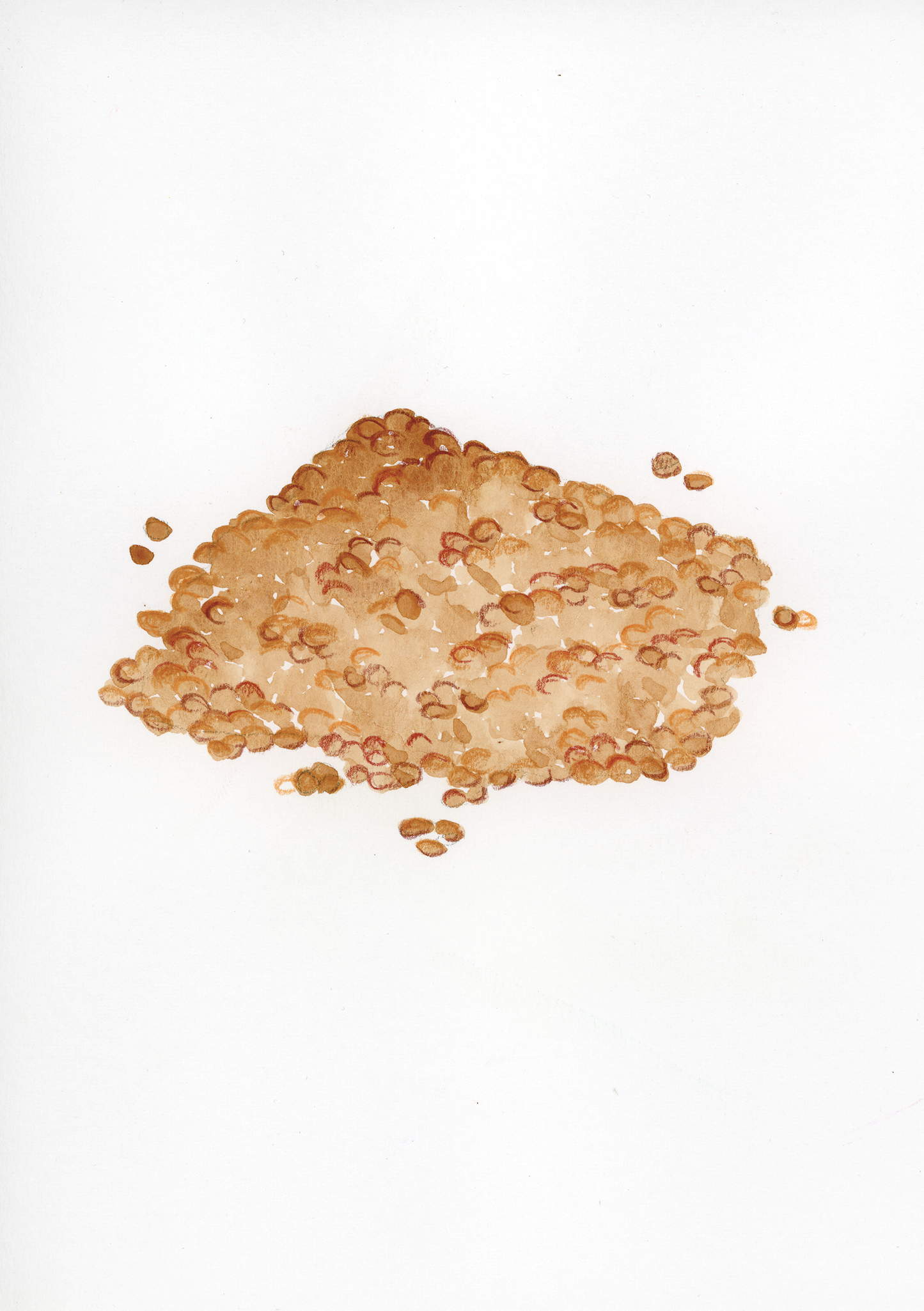 L come Lenticchie - Alfabeto Vegetale