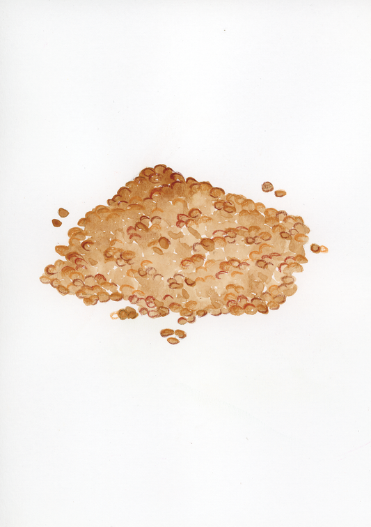 L come Lenticchie - Alfabeto Vegetale