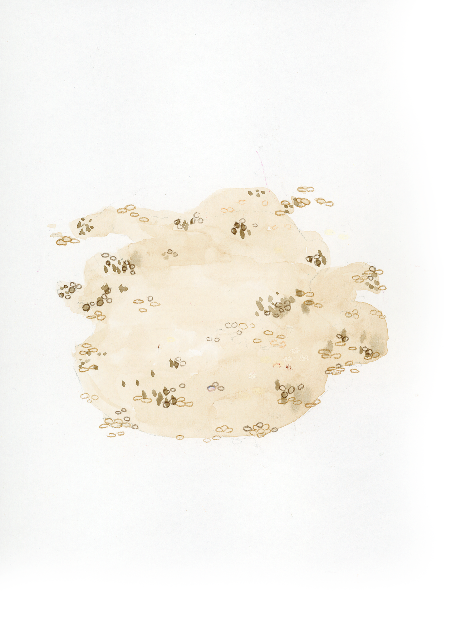 Q come Quinoa - Alfabeto Vegetale