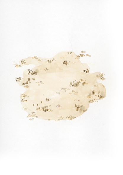 Q come Quinoa - Alfabeto Vegetale