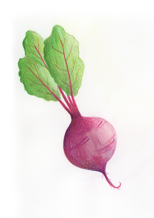 R come Rapa - Alfabeto Vegetale