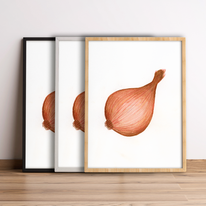 S come Scalogno - Alfabeto Vegetale