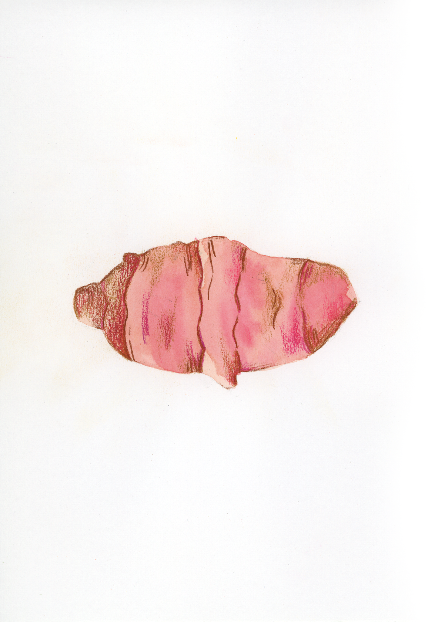 T come Topinambur - Alfabeto Vegetale