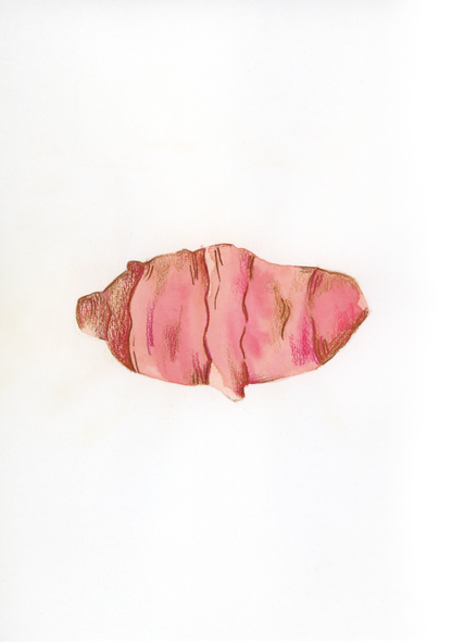 T come Topinambur - Alfabeto Vegetale