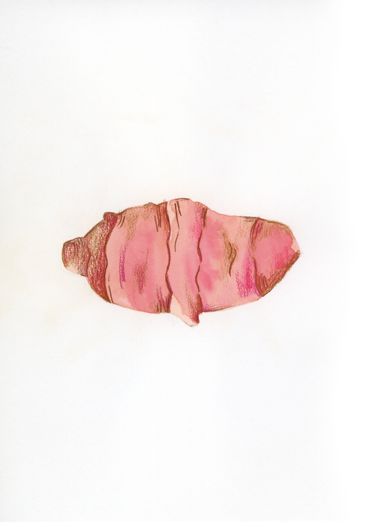 T come Topinambur - Alfabeto Vegetale