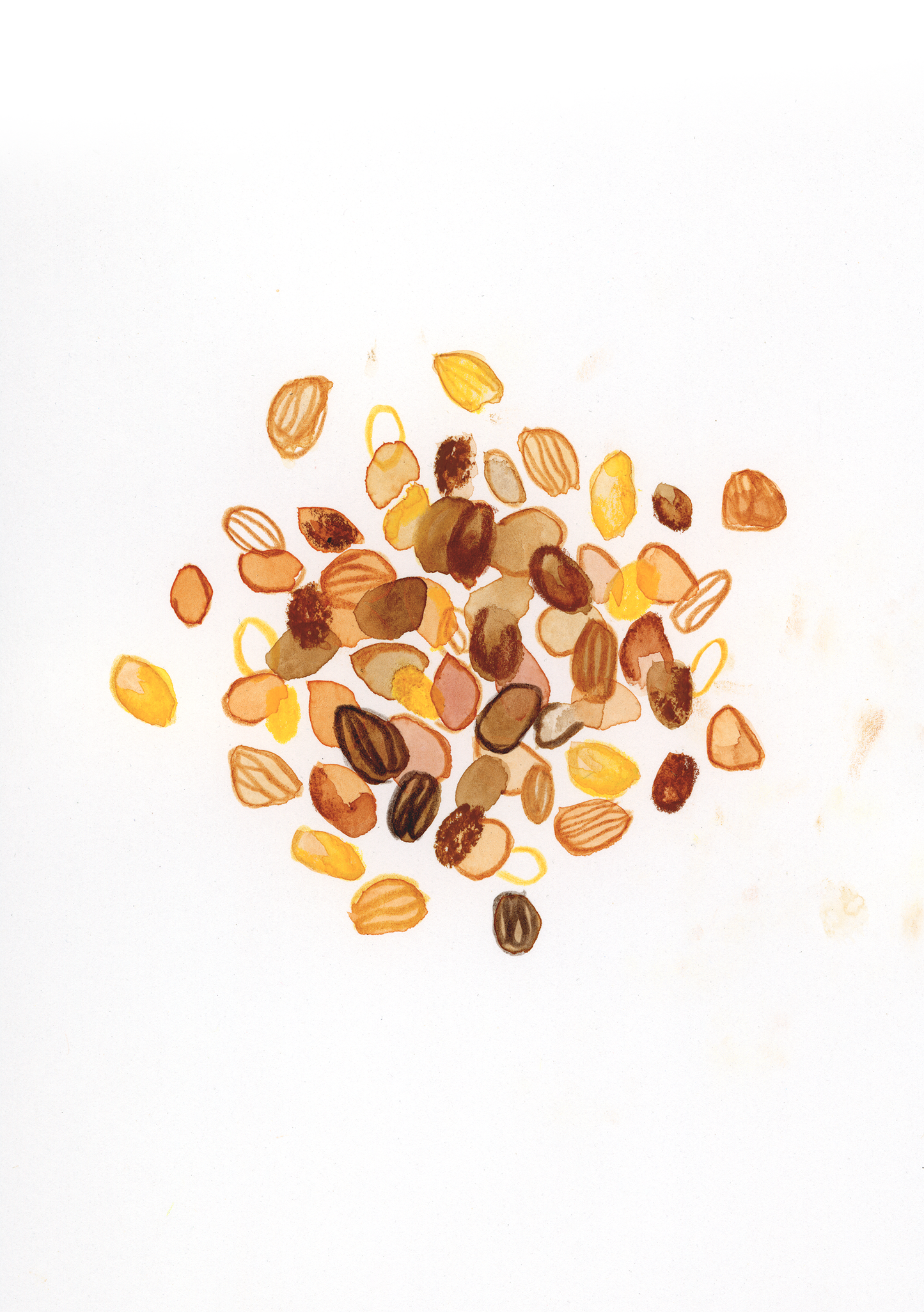 U come Uvetta - Alfabeto Vegetale