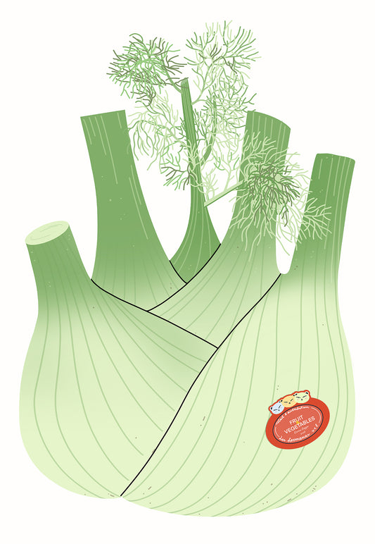 Finocchio