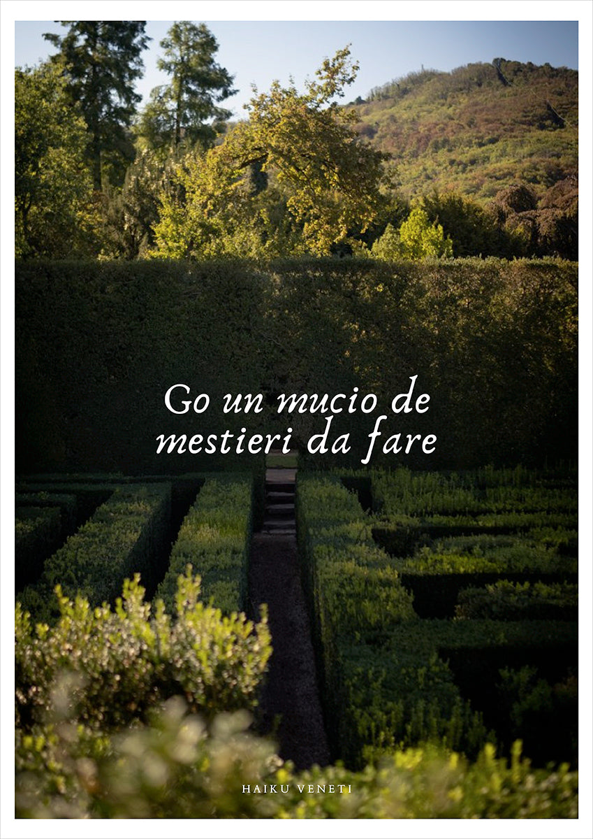 A collection of professions