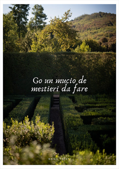 A collection of professions