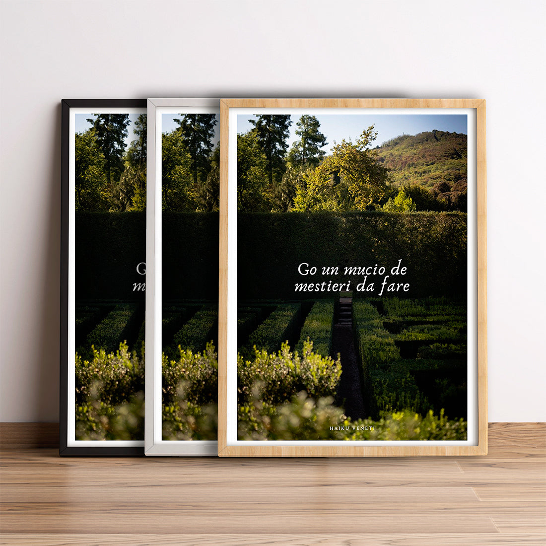 A collection of professions