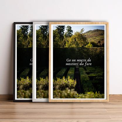 A collection of professions