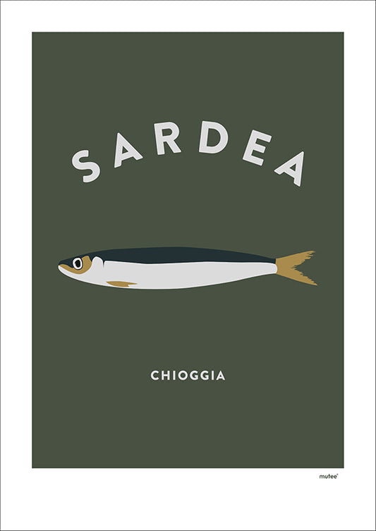 Sardea - Chioggia